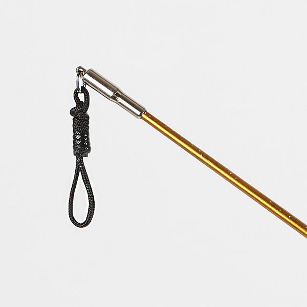 CHACOTT Палочка 60 см супер углеродная блестящая для сеньоров 301501 0010-98 FIG